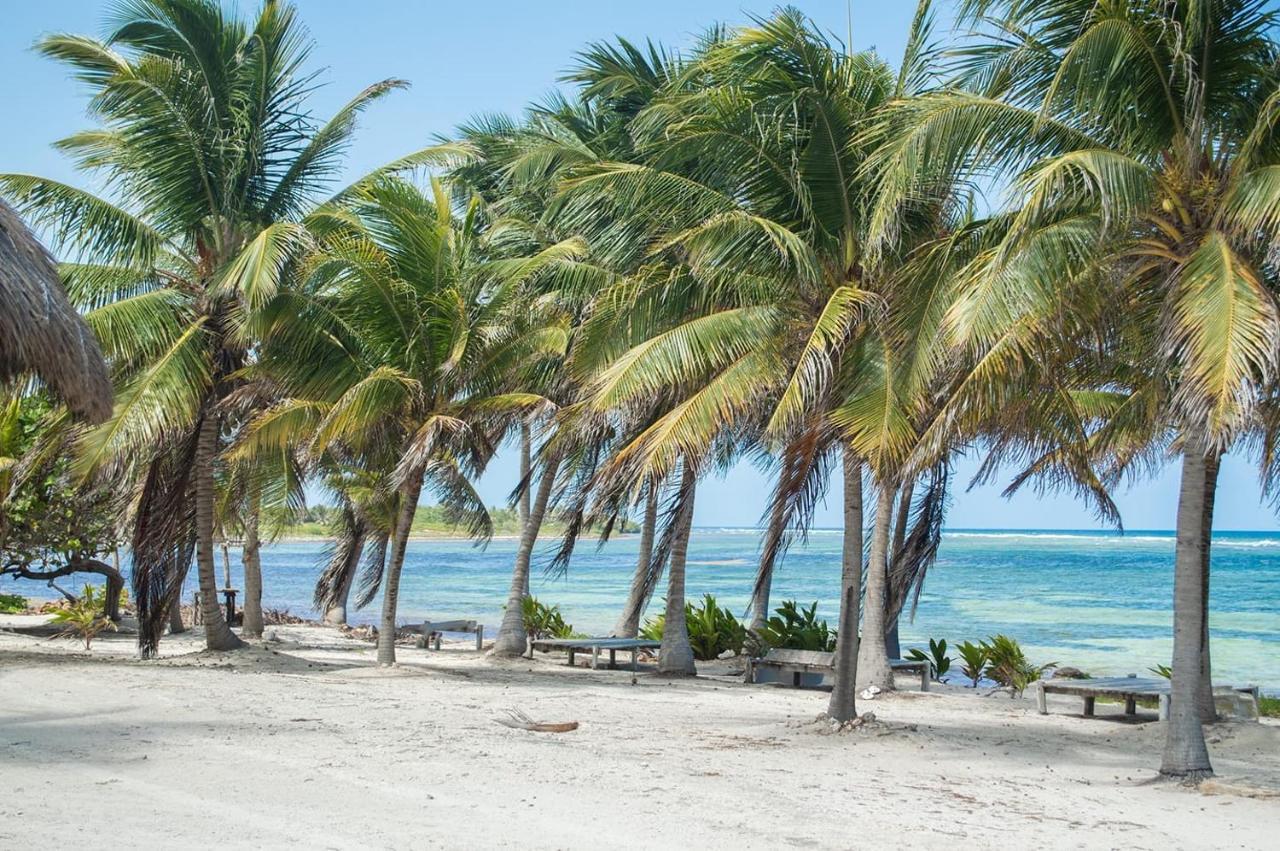 Cabanas Ecoturisticas Costa Maya Mahahual Exterior foto